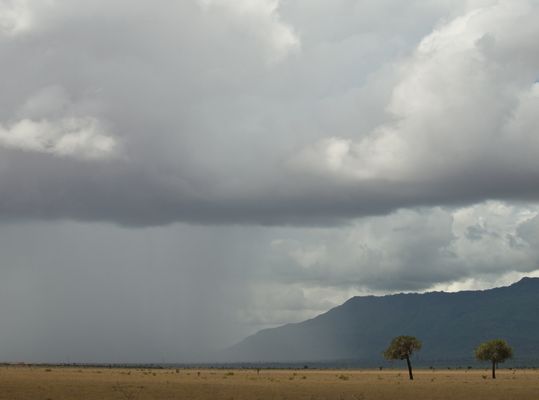 ..... wenn der Regen kommt .....