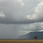 ..... wenn der Regen kommt .....