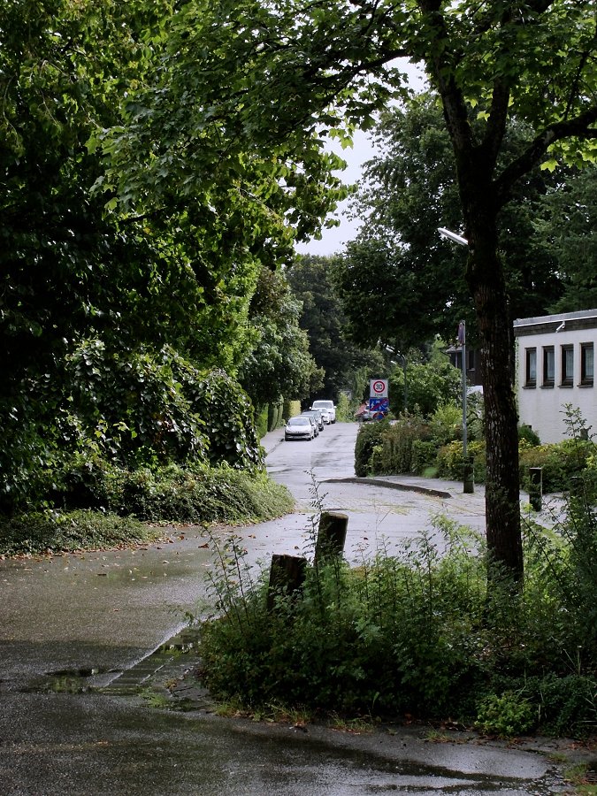 Wenn der Regen rauswäscht