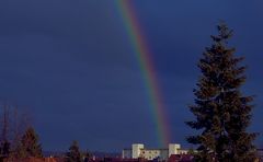 wenn der regenbogen