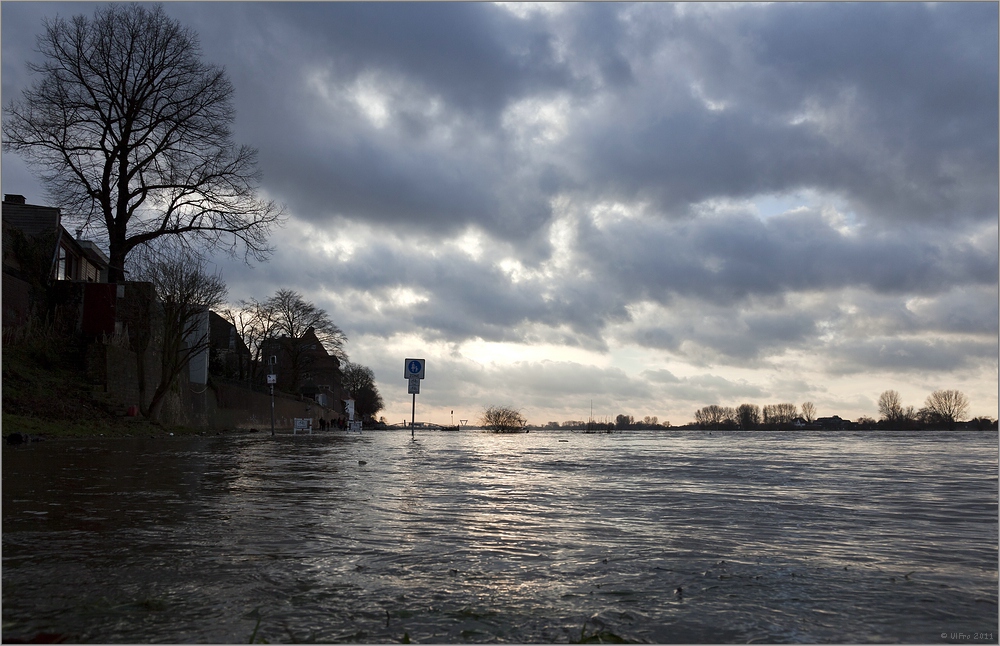 Wenn der Rhein sein Bett verlässt