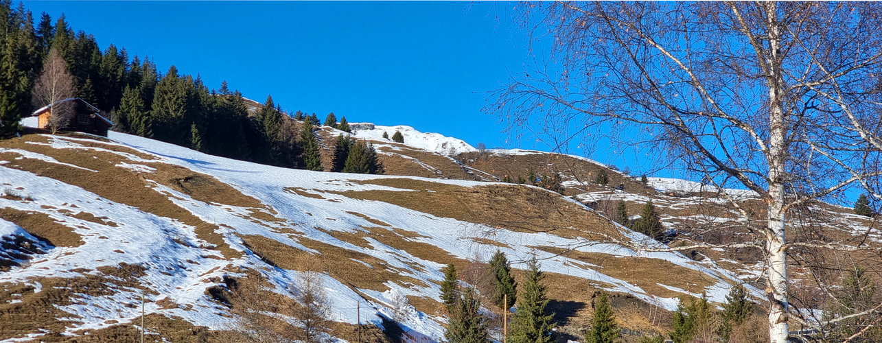 Wenn der Schnee schmilzt...