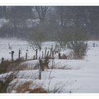 Wenn der Schnee waagerecht fällt...,