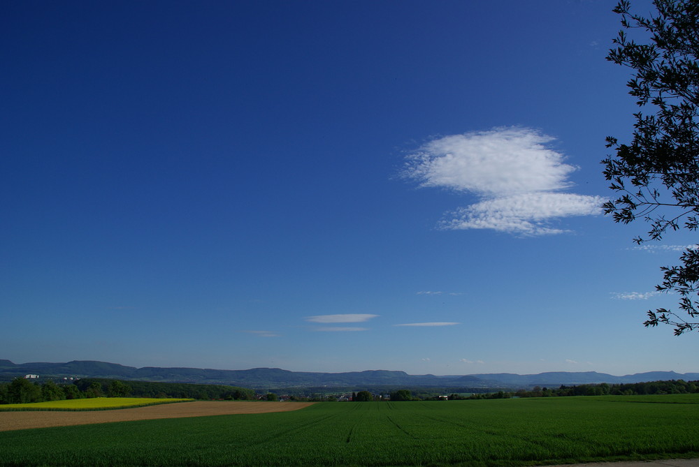 Wenn der Sommer nicht mehr weit ist...