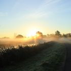 Wenn der Spreewald erwacht...2