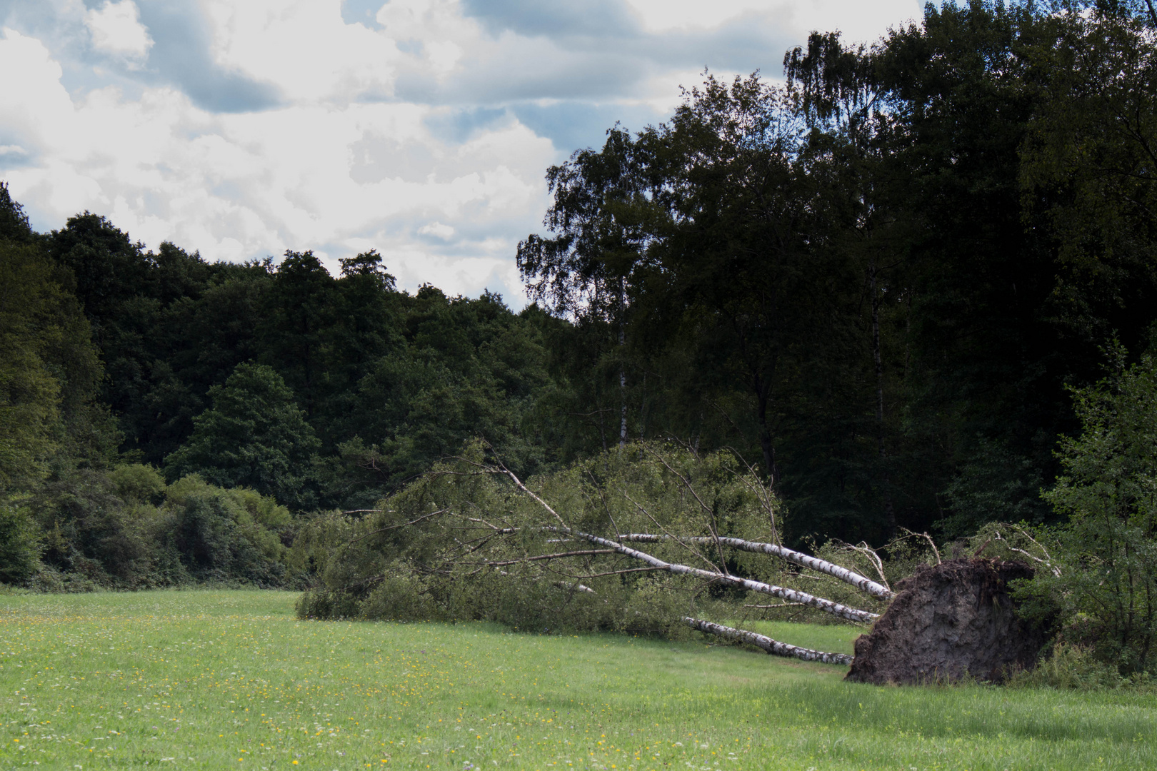 Wenn der Sturm wütet