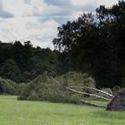 Wenn der Sturm wütet