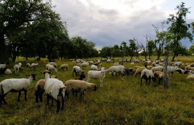 wenn der Tag dem Ende neigt