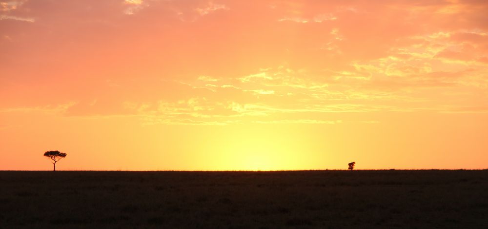 wenn der Tag in Masai Mara erwacht