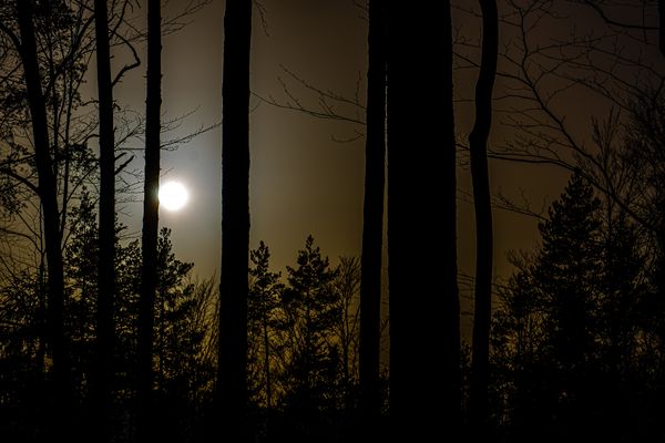 wenn der Tag sich zu Ende neigt