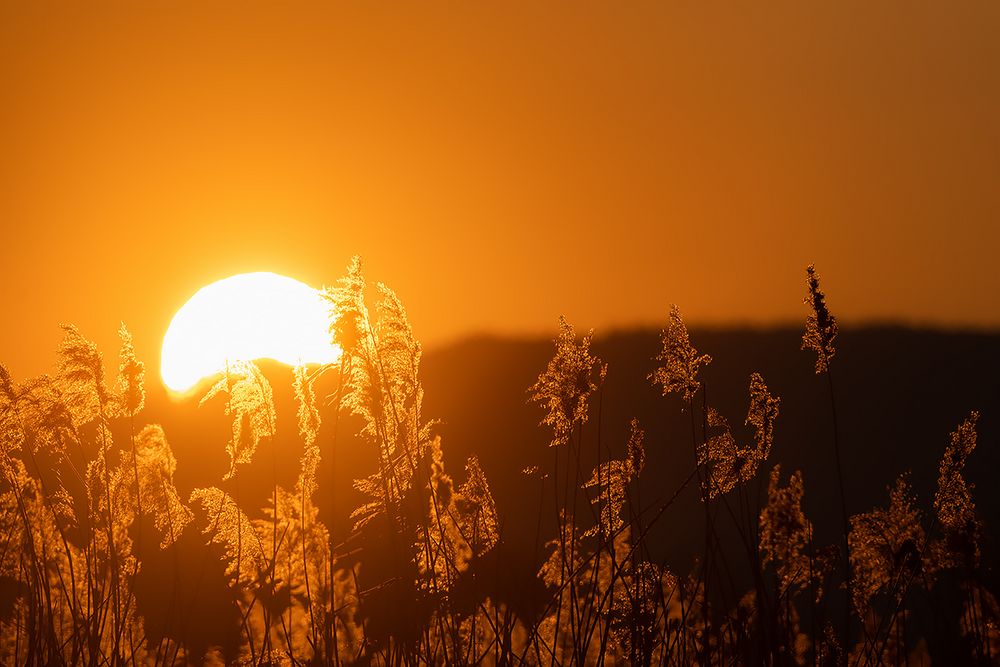 Erfolgreich bloggen lernen