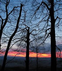 wenn der wald bald brennt...