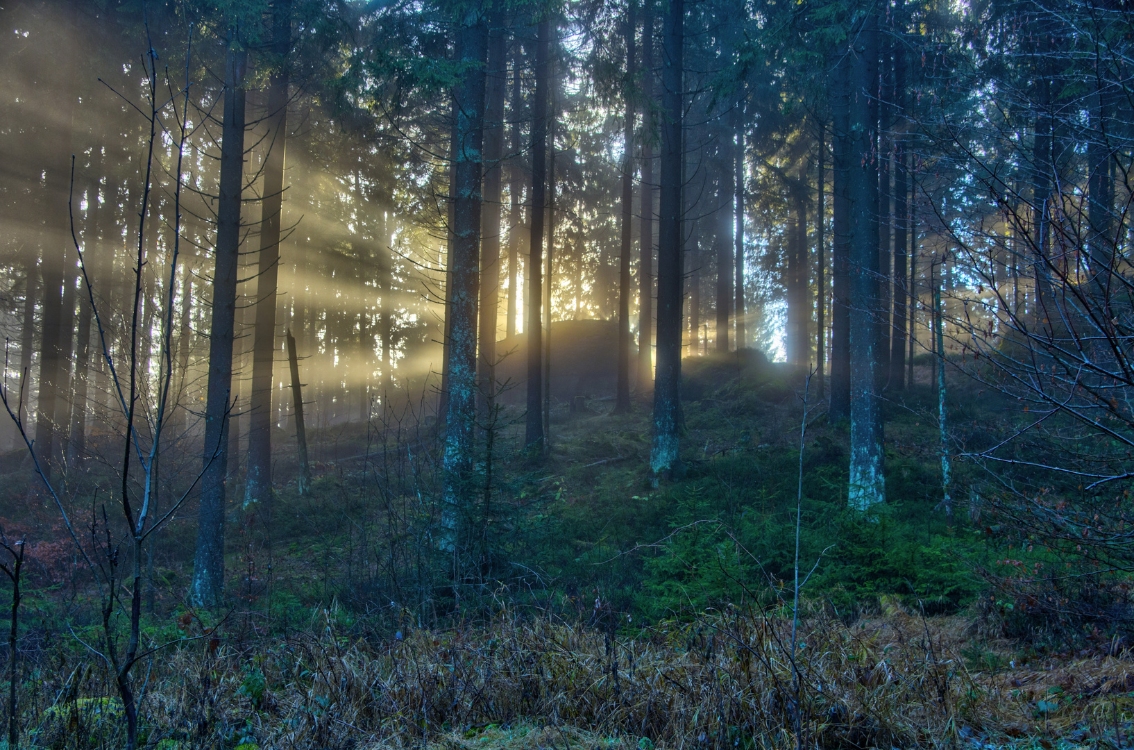 ..wenn der Wald glüht...