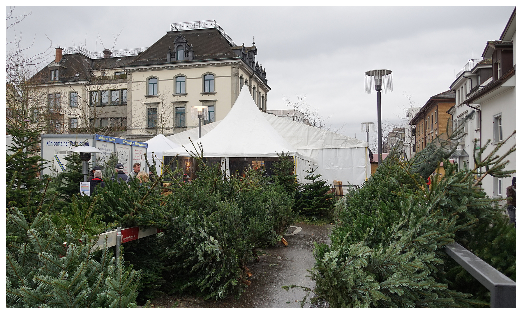 Wenn der Wald in die Stadt geholt wird