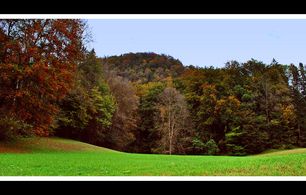 Wenn der Wald mit den Farben spielt - reloaded