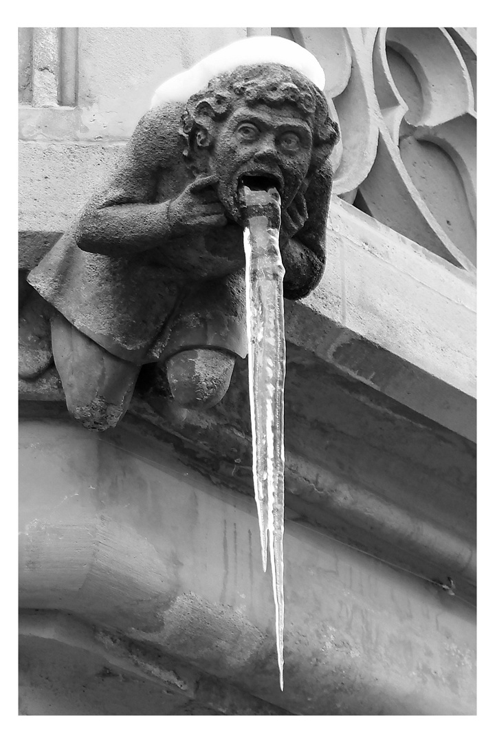 Wenn der Wasserspeier einfriert ...