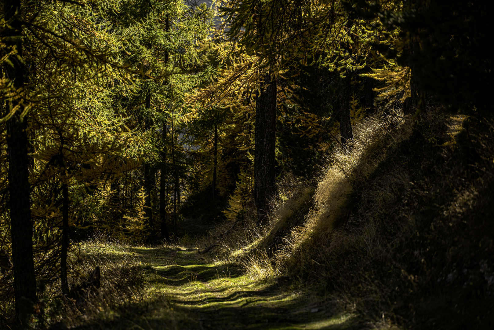 Wenn der Weg schön ist, lass uns nicht fragen wohin er führt  (Anatole France)