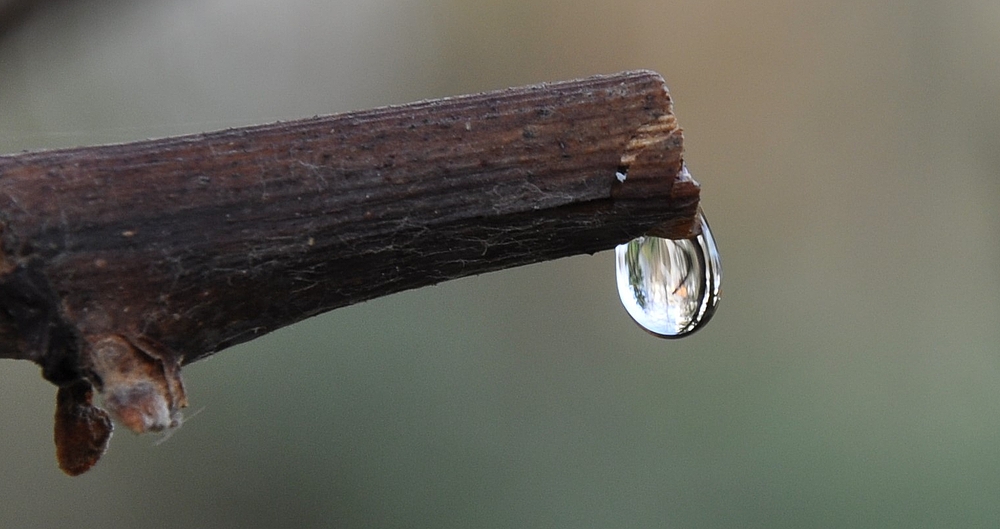 ....wenn der Wein weint......