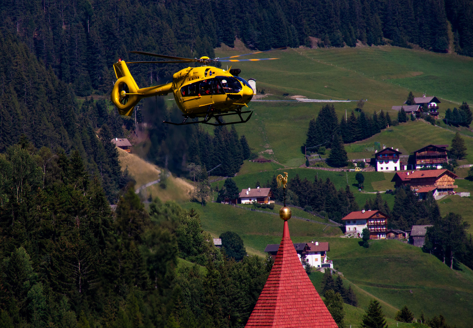 Wenn der Wetterhahn besuch bekommt...