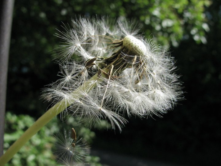 Wenn der Wind anfängt zu malen...