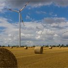 Wenn der Wind leise über die Stoppeln streicht...