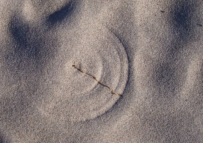 wenn der Wind malt...