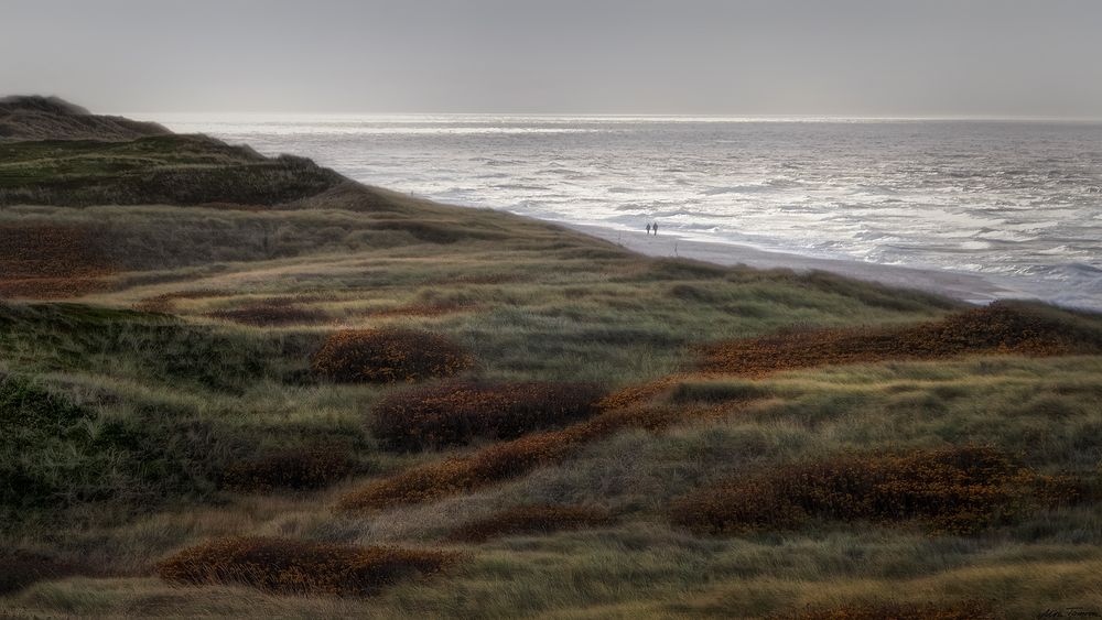 wenn der Wind über das Meer weht ...