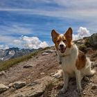 Wenn der Wind um die Ohren bläst