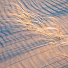 Wenn der Wind und das Licht die Muster zaubert