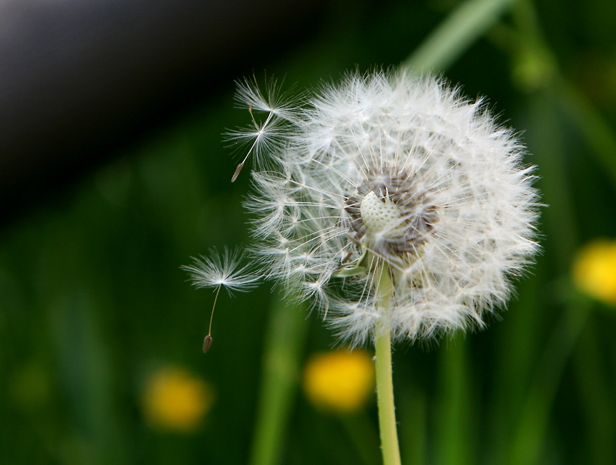 Wenn der Wind zerrt....