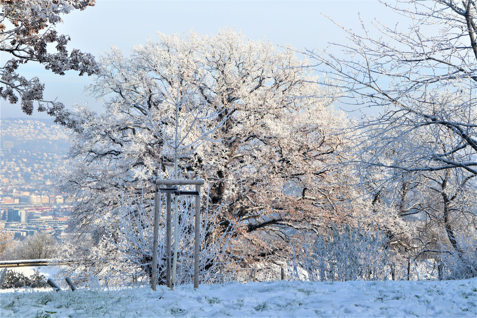 Wenn der Winter auf die  Sonne trifft.....