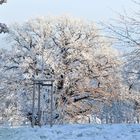 Wenn der Winter auf die  Sonne trifft.....