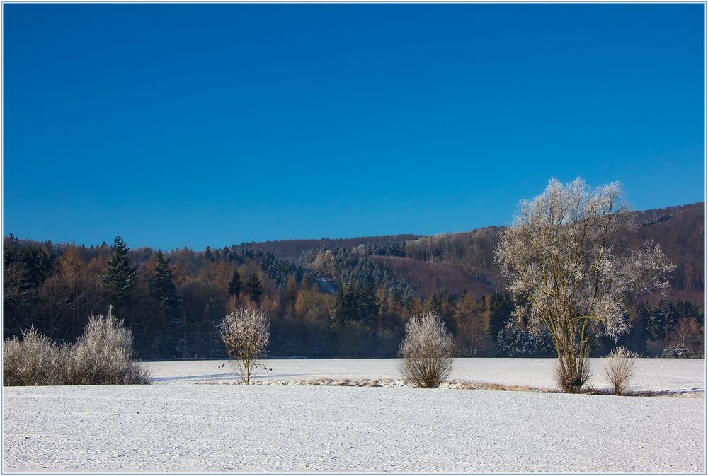 Wenn der Winter bei uns so schön ist... 