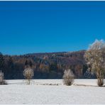 Wenn der Winter bei uns so schön ist... 