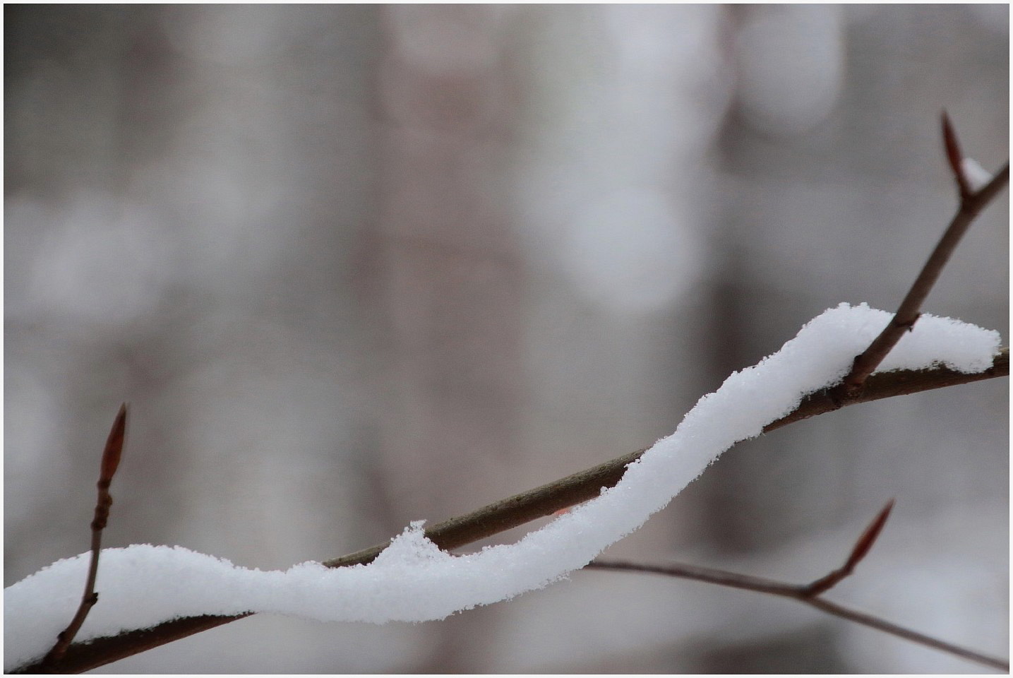 Wenn der Winter den Herbst umarmt