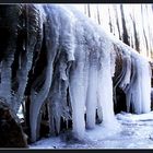 wenn der winter den waldbrunnen verzaubert...