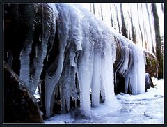 wenn der winter den waldbrunnen verzaubert...