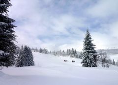 Wenn der Winter einzug hält ...