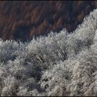 Wenn der Winter geht... (mit 3-D-Effekt)