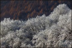 Wenn der Winter geht... (mit 3-D-Effekt)