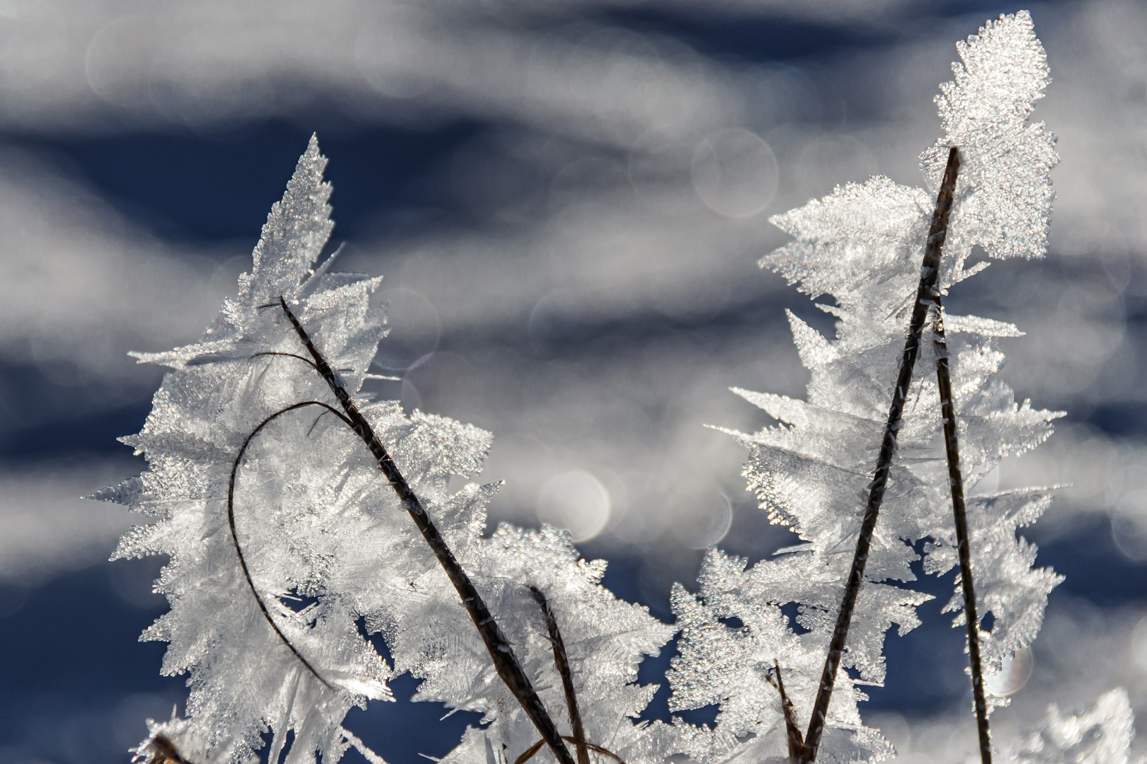 Wenn der Winter mal wieder ein Winter ist.