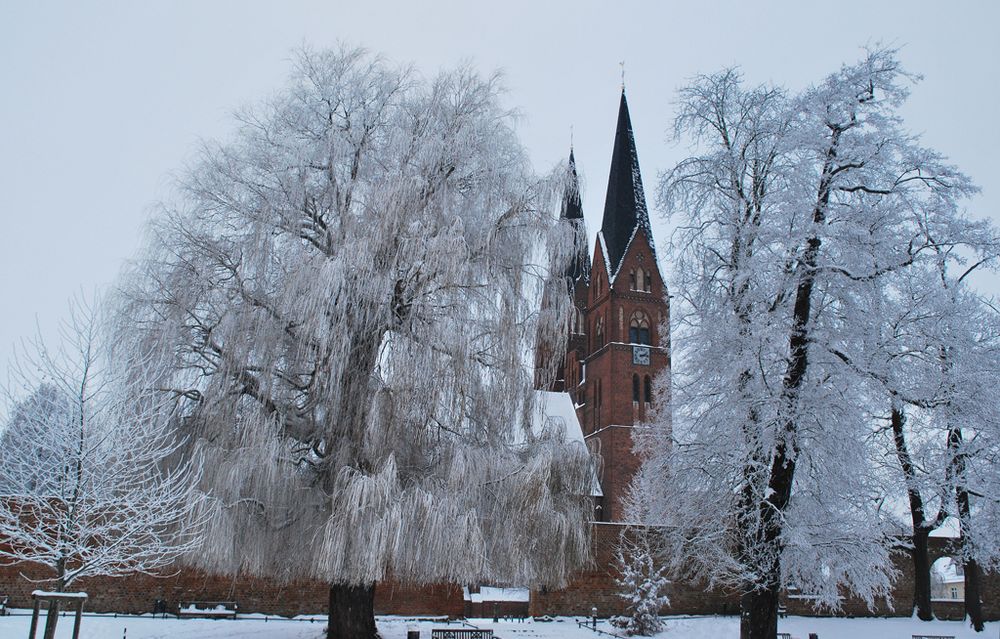 Wenn der Winter seine schönen Seiten zeigt