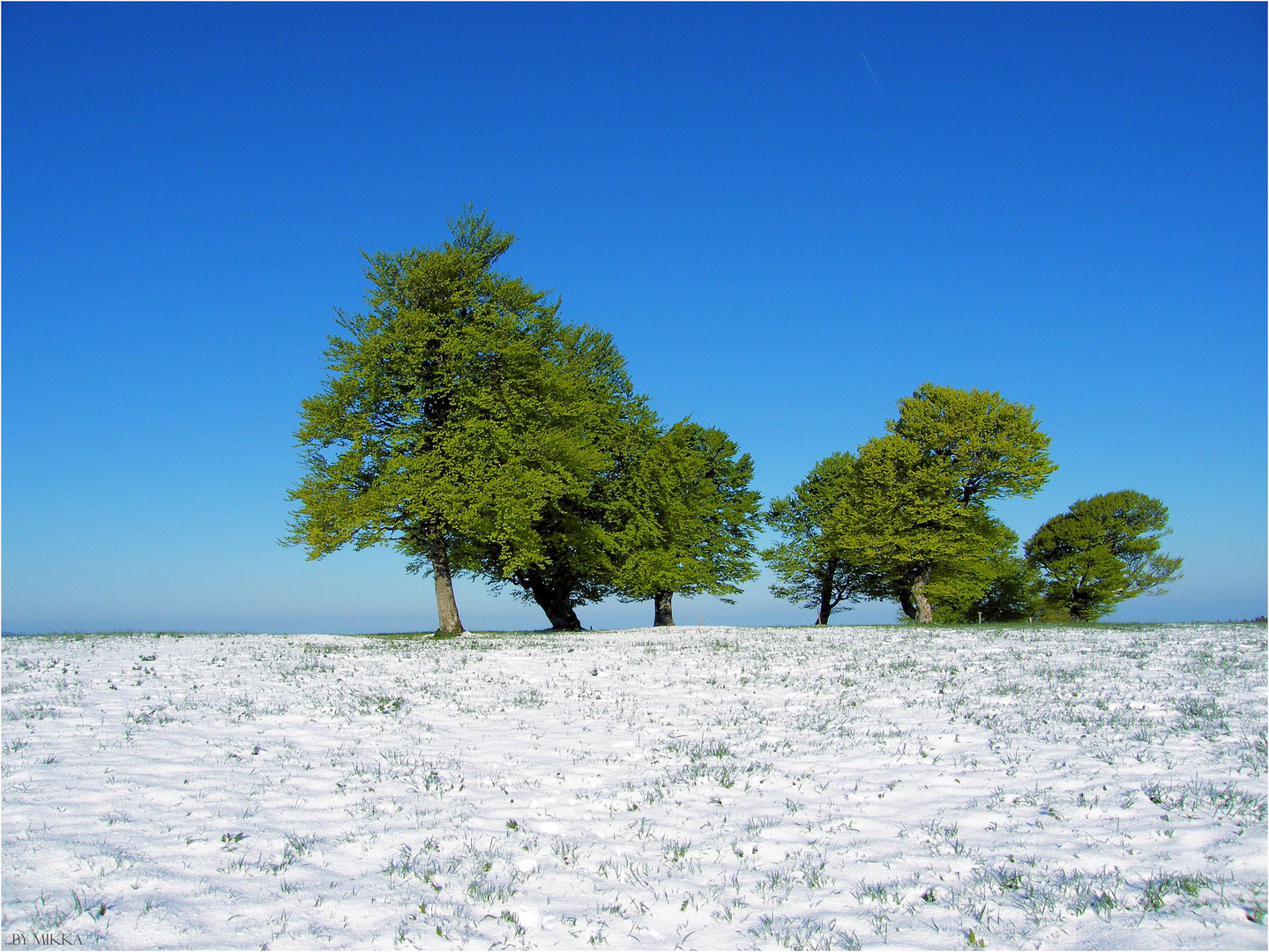 Wenn der Winter sich in den Sommer verliebt hat #3