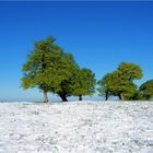 Wenn der Winter sich in den Sommer verliebt hat #3