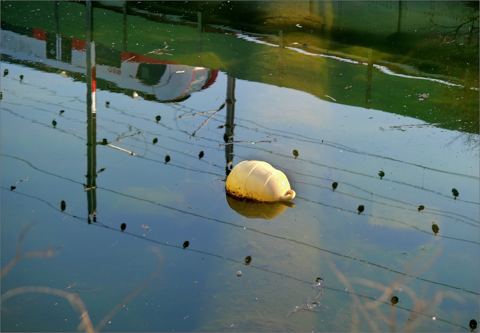 Wenn der  Zug im Wasser fährt