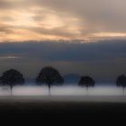 wenn die Abendnebel ziehen