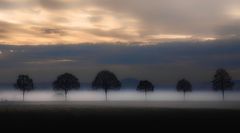 wenn die Abendnebel ziehen