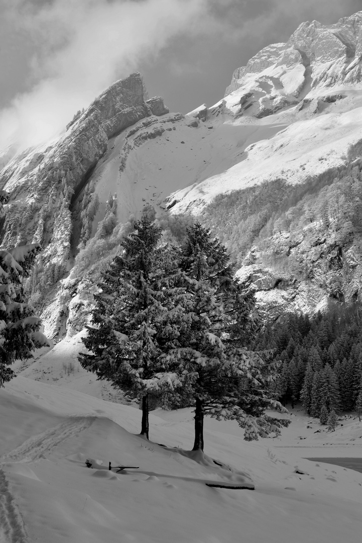 Wenn die Berge rufen muss ich gehen... 