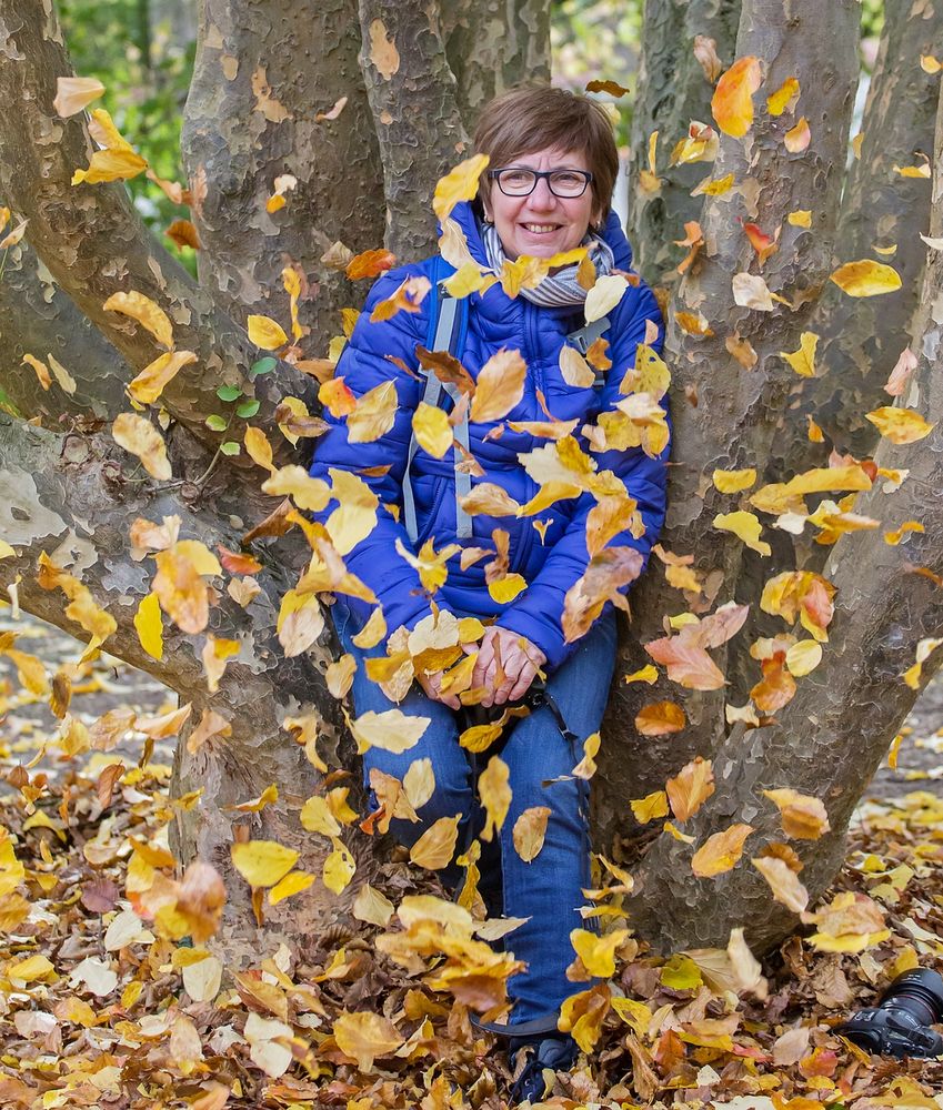 Wenn Die Blätter Fallen Wenn Die Blätter Fallen