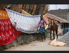 Wenn die bunten Saris wehen